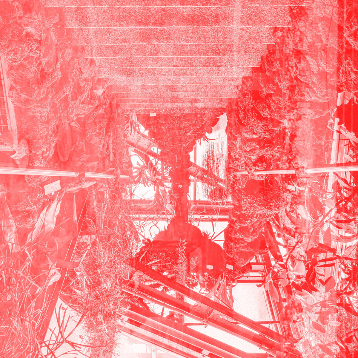Revista The13th (@revistathe13th) on Twitter photo Vlimmer acaba de lanzar su nuevo EP "Diskomfort" editado el pasado 31 de enero bajo el sello <a href="/illvminist/">Blackjack Illuminist</a>
#darkwave #postpunk
Puedes escucharlo en nuestro blog
revistathe13th.blogspot.com/2025/02/lanzam… Vlimmer acaba de lanzar su nuevo EP "Diskomfort" editado el pasado 31 de enero bajo el sello <a href="/illvminist/">Blackjack Illuminist</a>
#darkwave #postpunk
Puedes escucharlo en nuestro blog
revistathe13th.blogspot.com/2025/02/lanzam…