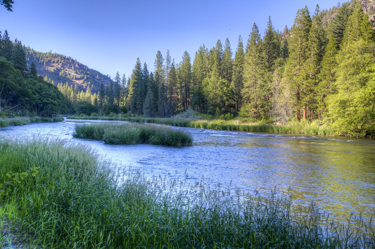 The Western U.S. Conservation Data Portal provides precise maps of at-risk ecosystems &amp; biodiversity. Featuring a ninefold improvement in MoBI resolution, it’s a game-changer for conservation planning. 🔗experience.arcgis.com/experience/1b8…