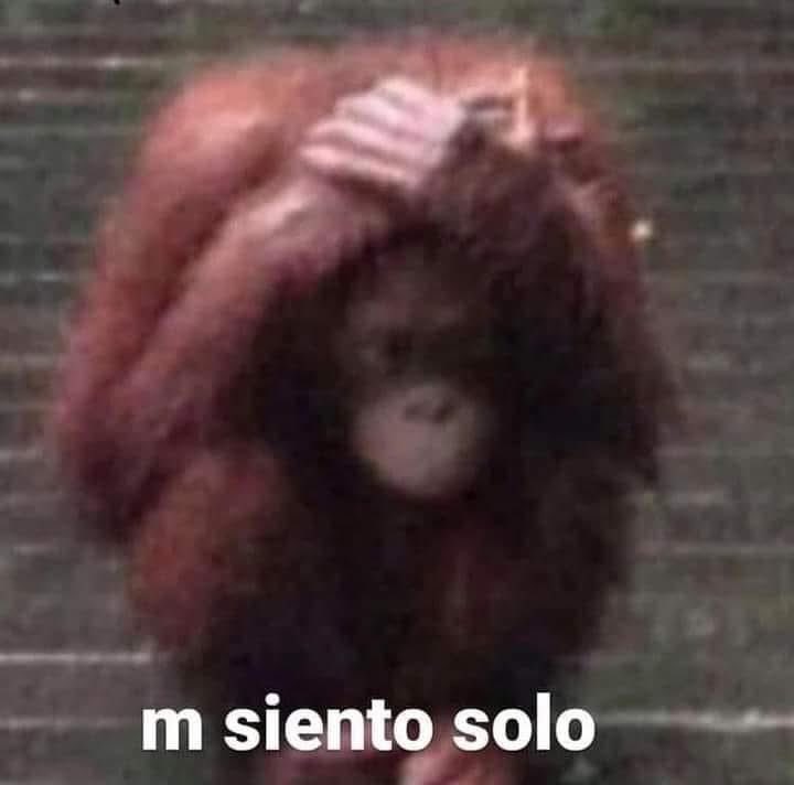 yo qué sé tweet media
