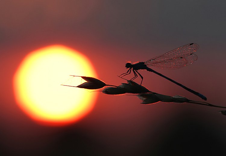 Marc Heath tweet media