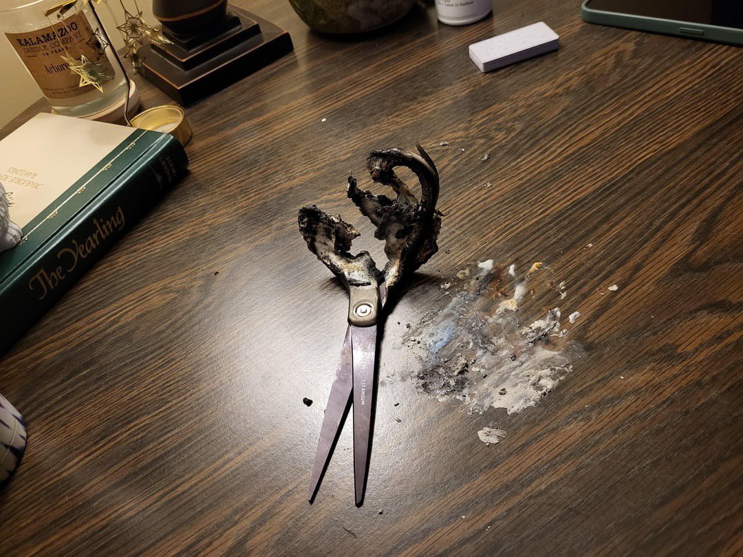 kloogans's tweet image. first time using scissors lol. no idea what i'm doing