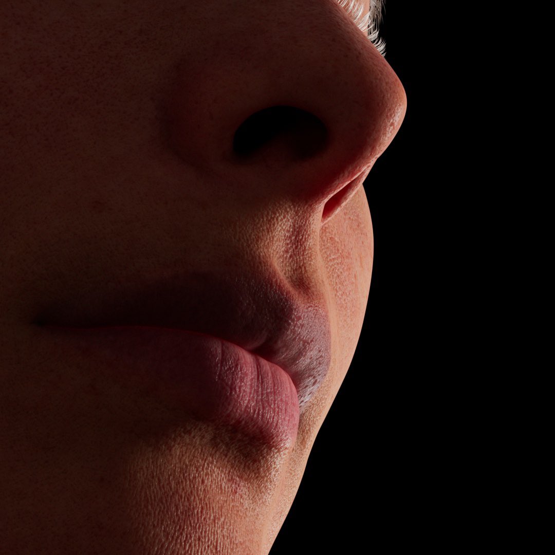 flopjpg's tweet image. WIP