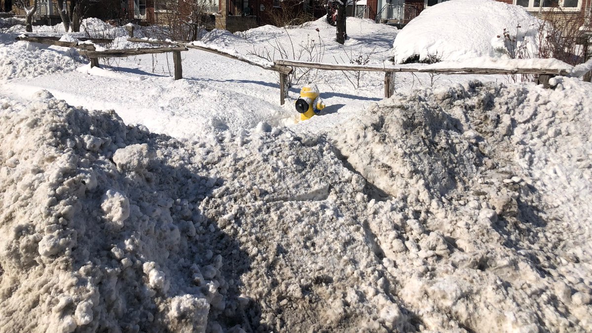 Maria Castellucci tweet media