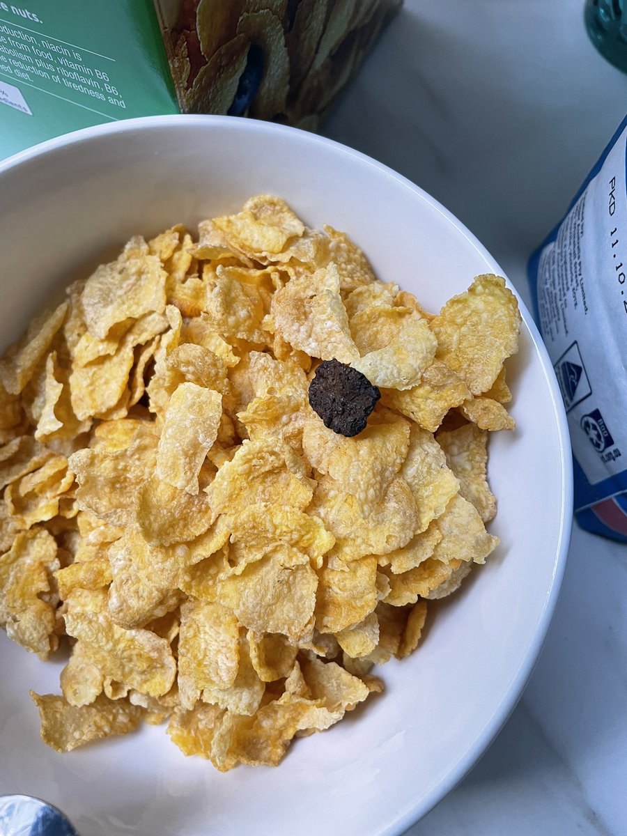 MrGlass023's tweet photo. FINALLY SHINY CORN FLAKE APPEARS AFTER 11709 CORN FLAKES! #FLOY #PokemonScarletViolet #pokemongen10 @DUALIPA https://t.co/YPl4gYW5Yv