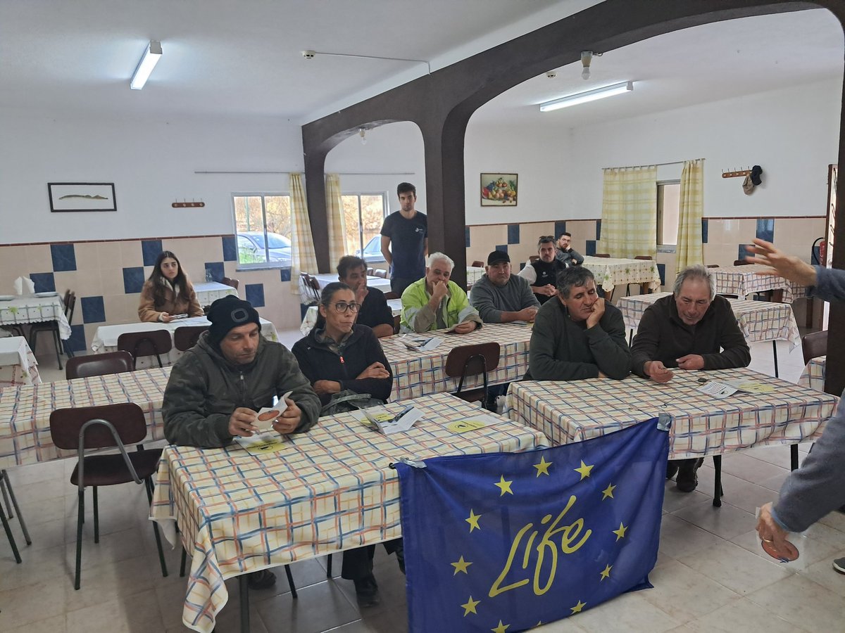 FishInvasionLab's tweet image. Today we had a full day with #megapredator and #lifepredator. Getting feedback from our commercial fishermen about the sampling techniques targeting european catfish in the Tagus. Also we were interviewed for ##BIOSFERA program @RTP2  @MAREscience @cienciasulisboa @IPSantarem