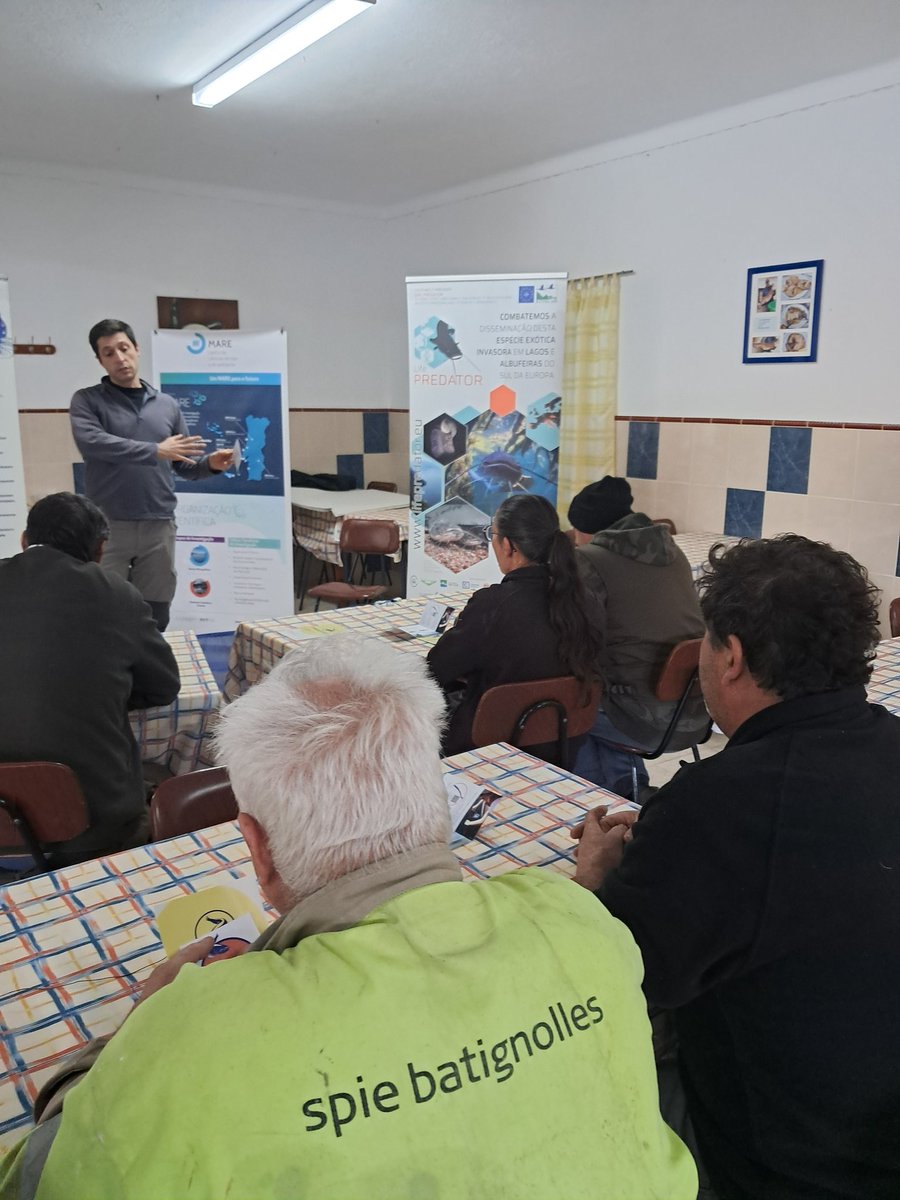 FishInvasionLab's tweet image. Today we had a full day with #megapredator and #lifepredator. Getting feedback from our commercial fishermen about the sampling techniques targeting european catfish in the Tagus. Also we were interviewed for ##BIOSFERA program @RTP2  @MAREscience @cienciasulisboa @IPSantarem
