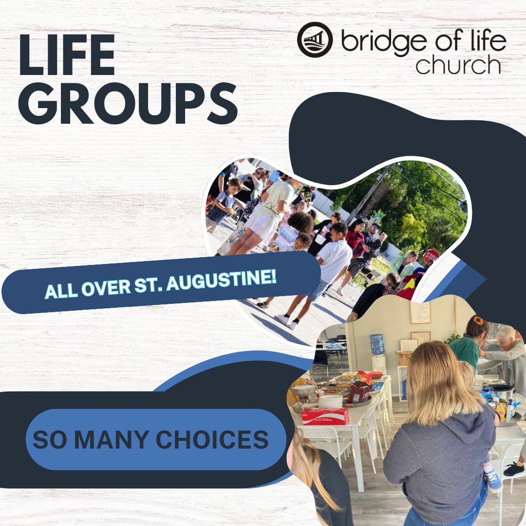 Bridge of Life (@MyBridgeofLife) / Posts / X