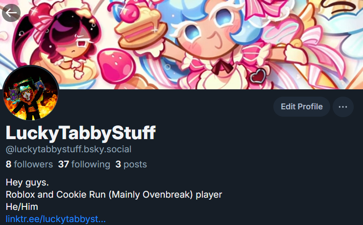 LuckyTabbyStuff tweet media