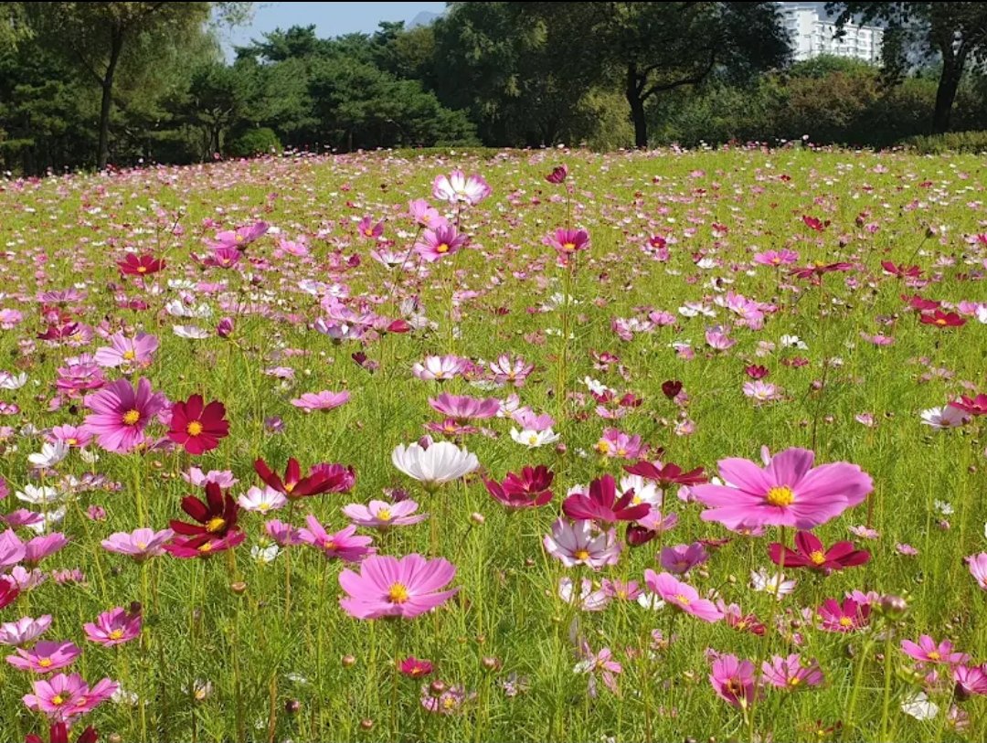 자신을 사랑하기에 너무 늦은 때는 없습니다. 당신을 변명 없이 당신답게 만드는 부분을 발견하기 위해서. 내면에 숨겨진 아름다움을 찾기 위해서. 다른 사람들이 항상 존경했지만 지금에야 보는 부분을 발견하기 위해서. 당신의 빛을 비추세요. 용감하세요. 열려 있으세요. 당신 자신이 되세요.
