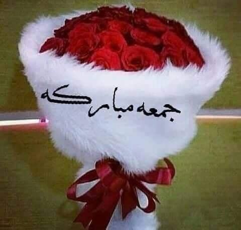 🌹🥀هناك قلوب جميلة 🥀🌹
 لا يكافئ حبها الا الدعاء 
جعل الله حياتكم جميلة كأنفاس الطيبين نقية كأرواح الصالحين منيرة كوجوه المتقين 
ومتعكم الله بالعافية و المعافاة و الرضى. في الدنيا والاخره