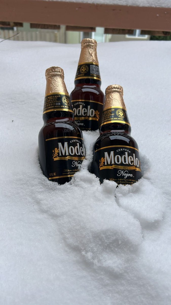 Anayadasem's tweet photo. Mexicanos en la nieve be like ... https://t.co/v0XwW2JH6u