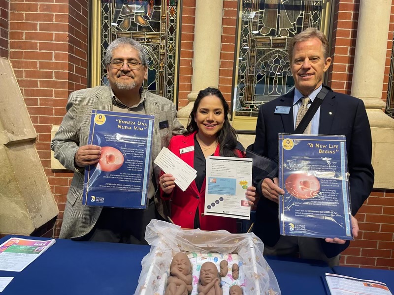 prolifedallas's tweet photo. We are overjoyed to share that The Dallas Cathedral just completed the most successful Spiritual Adoption Program we’ve ever seen—1,144 pledges to spiritually adopt &amp; pray for unborn babies &amp; their mothers! 
 
Contact parish@prolifedallas.org to bring this program to your parish https://t.co/mknedtiYXb