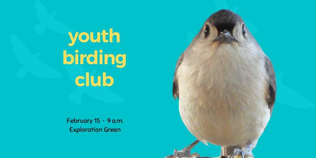 🐦 Join us this Saturday, Feb 15, at 9am for some winter birding. 📷 Our Youth Birding Club will meet at Exploration Green, parking lot on Diana Ln. Beginners welcome! 📷bit.ly/youthbirdingcl… #UHCL