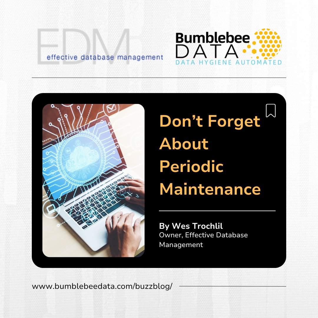 Bumblebee Data (@Bumblebeedata) / Posts / X