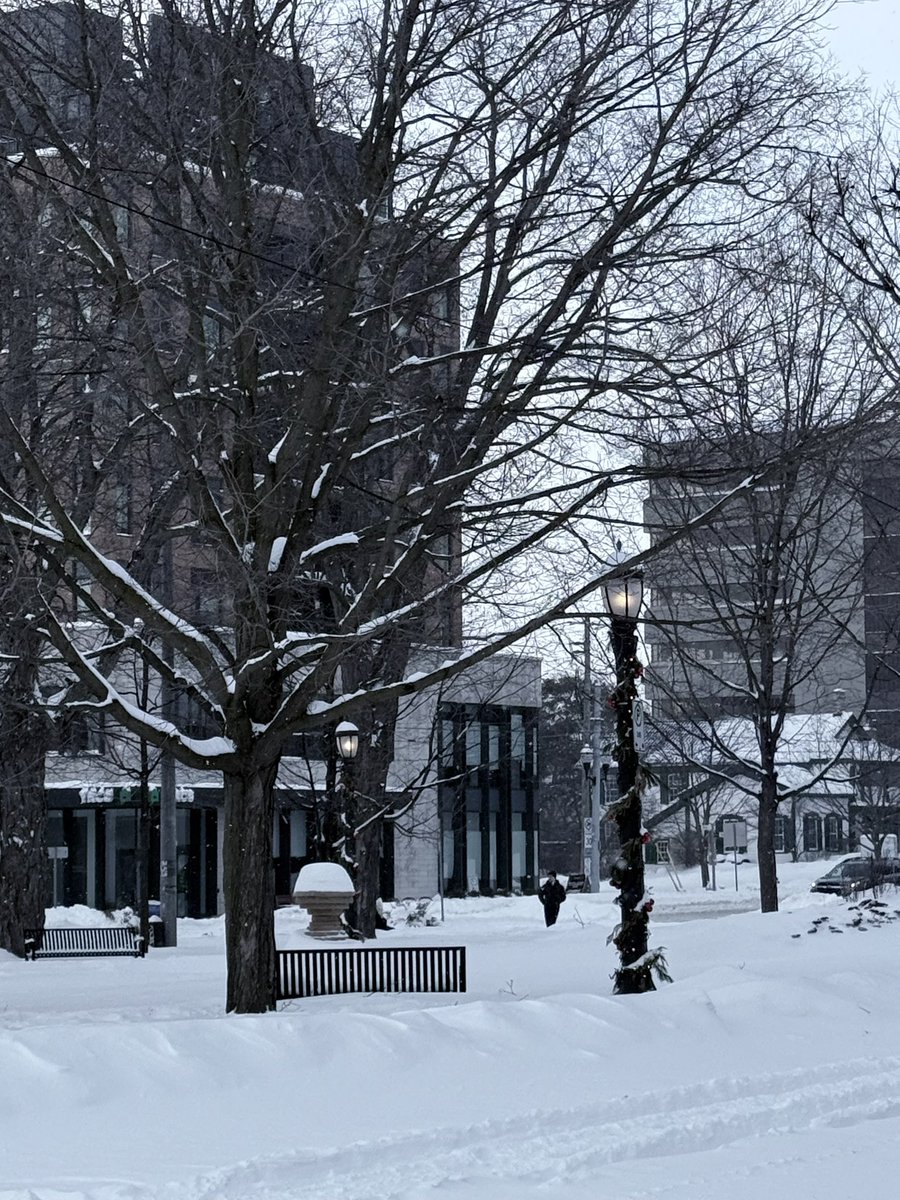Throughmyprism's tweet photo. "Only 14 inches of snow? Mother Nature, I expected a little more drama. โ๏ธ๐"
#Snowpocalypse #WinterWonderland #TooMuchFluff https://t.co/3MeozI2zQg
