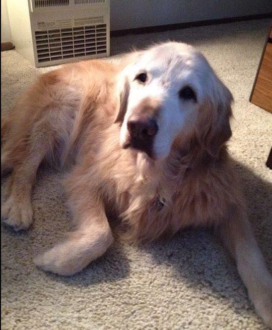 16th birthday 🎂. Wish the best to Lola ♥️🤗.