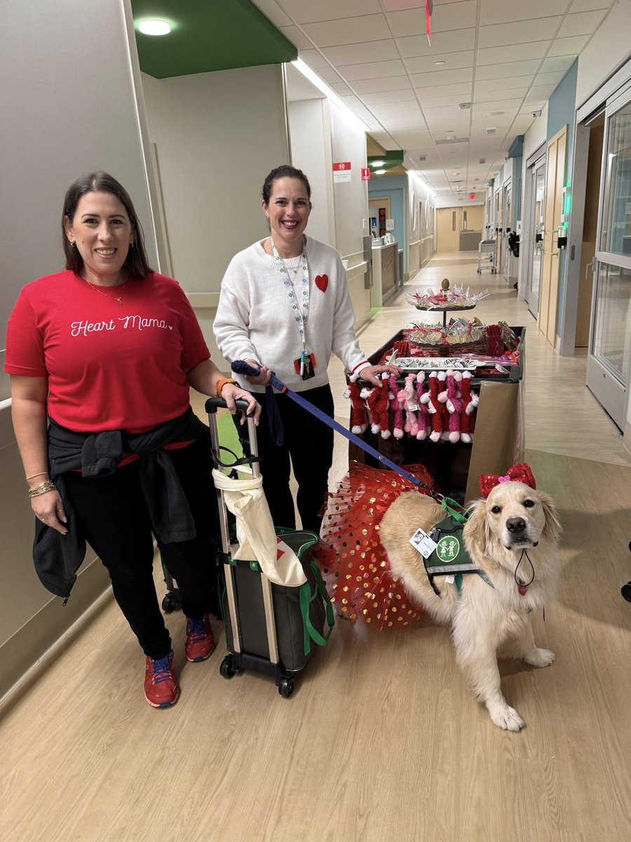 childrensatl's tweet image. The Heart Center staff and facility dog, Pepa, celebrated #CHDAwarenessWeek with a spirit cart—lifting spirits and delivering goodies to our patient families! #HeartMonth