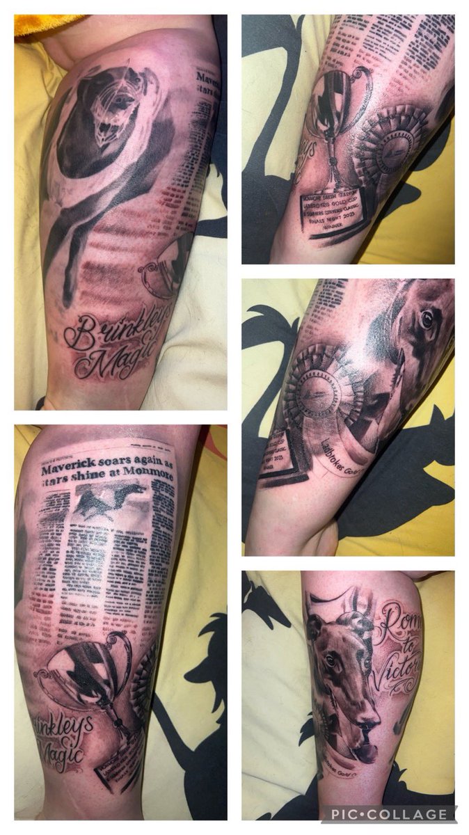 MissPetchK's tweet photo. And just like that my Racing Sleeve is finished 🫣🐾

@Monmoredogs @OwlertonRacing @SunderlandDogs @NewcastleDogs @RomfordDogs @LinkKennels @GreyhoundBoard https://t.co/0A77dbeHkG