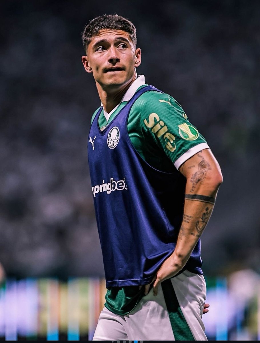 Emiliano Martinez é titular, e vai fazer sua estreia pelo palmeiras nesta noite.

Que seja o primeiro de muitos jogos, apesar de não conhecer ele, acredito que vai jogar bem aqui.