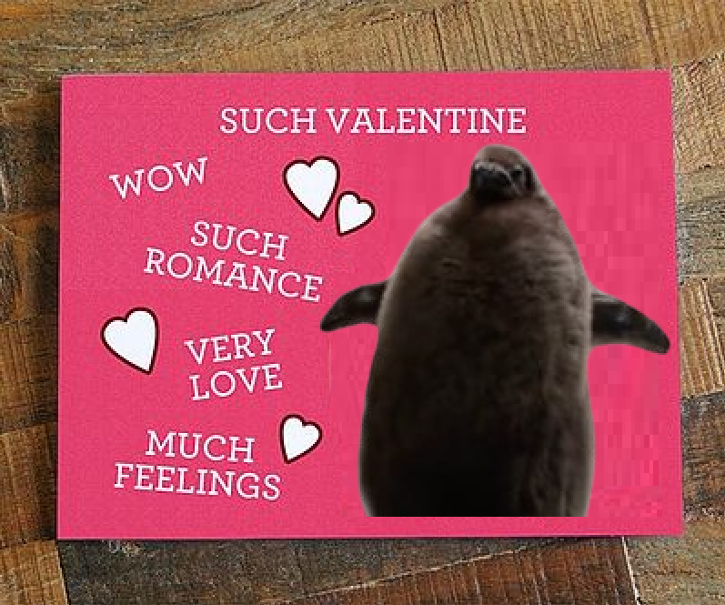PestoCTO's tweet photo. Happy valentines day ♥ https://t.co/6W2bT2uxiL