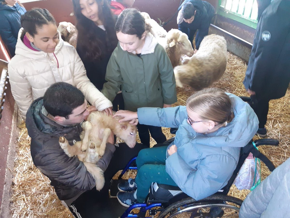 ClaretLarraona's tweet photo. Los alumnos y alumnas de modelo G de 6º de Primaria estamos en la Granja Escuela de Ilundain, donde estamos conociendo a los animales y haciendo algunas labores de la granja.
#convivencia #modelog #somosclaretlarraona https://t.co/93sYyPI6Mw