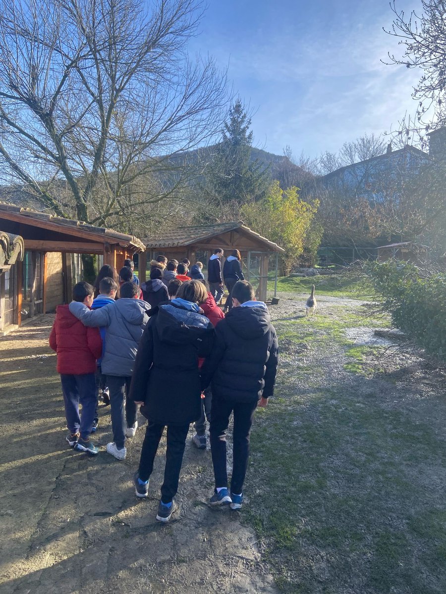 ClaretLarraona's tweet photo. Los alumnos y alumnas de modelo G de 6º de Primaria estamos en la Granja Escuela de Ilundain, donde estamos conociendo a los animales y haciendo algunas labores de la granja.
#convivencia #modelog #somosclaretlarraona https://t.co/93sYyPI6Mw