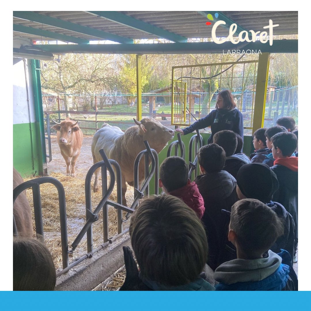 ClaretLarraona's tweet photo. Los alumnos y alumnas de modelo G de 6º de Primaria estamos en la Granja Escuela de Ilundain, donde estamos conociendo a los animales y haciendo algunas labores de la granja.
#convivencia #modelog #somosclaretlarraona https://t.co/93sYyPI6Mw