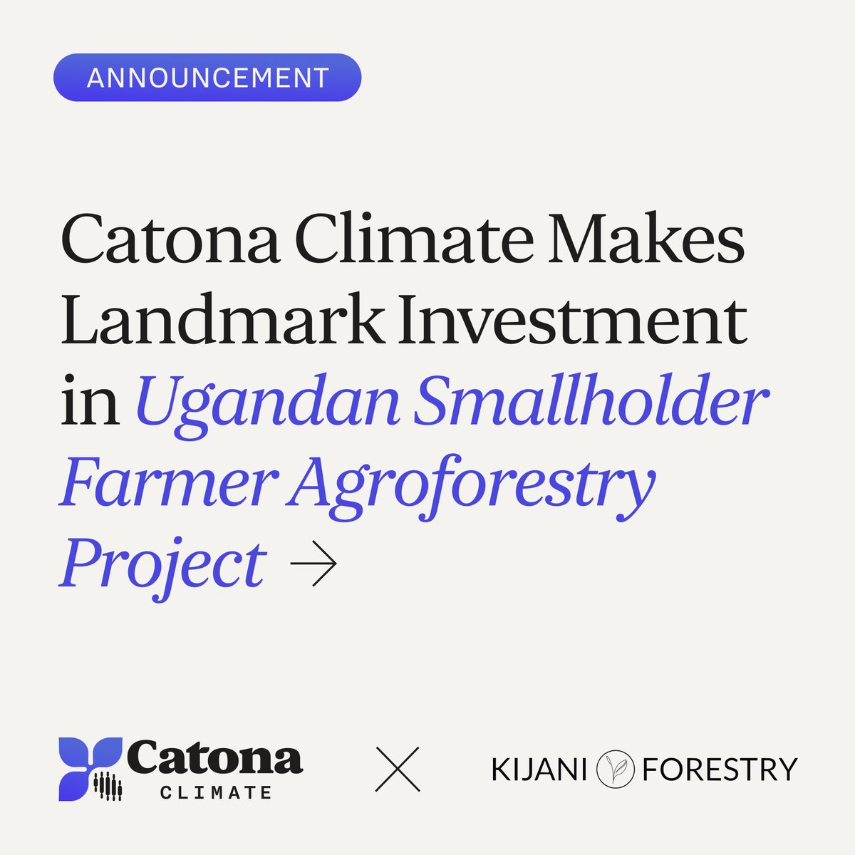 Catona Climate tweet media