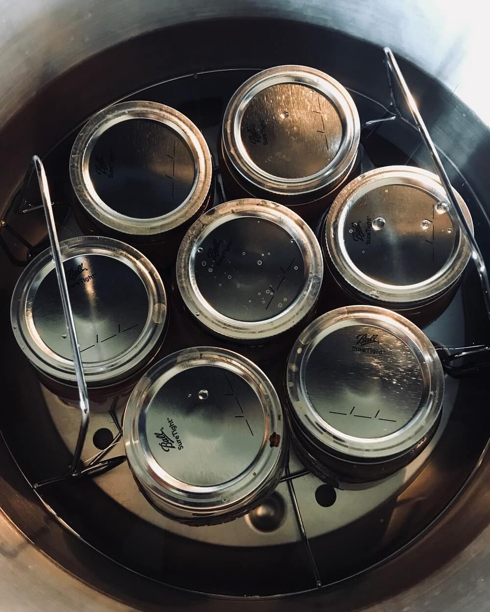 🍄 𝗖𝘂𝗹𝘁𝗶𝘃𝗼 𝗱𝗲 𝘀𝗲𝘁𝗮𝘀: 𝗰𝗹𝗮𝘃𝗲 𝗱𝗲𝗹 𝗲́𝘅𝗶𝘁𝗼 🍄
Si quieres obtener los mejores resultados, hay un paso que no puedes saltarte: 𝗹𝗮 𝗽𝗿𝗲𝗽𝗮𝗿𝗮𝗰𝗶𝗼́𝗻 𝗱𝗲𝗹 𝘀𝘂𝘀𝘁𝗿𝗮𝘁𝗼 🔬✨
👉 𝗟𝗲𝗲 𝗺𝗮́𝘀 𝗮𝗾𝘂í: bit.ly/3EpGIkt