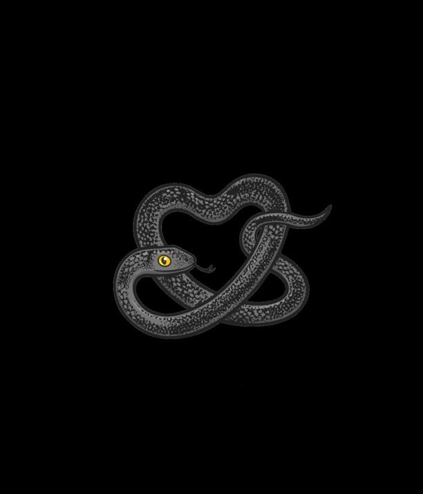 grantydidit's tweet image. #ReputationTaylorsVersion🐍