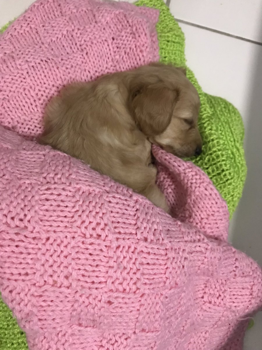 ¿Recuerdas cuando te uniste a X? ¡Yo sí! #MiAniversarioDeX