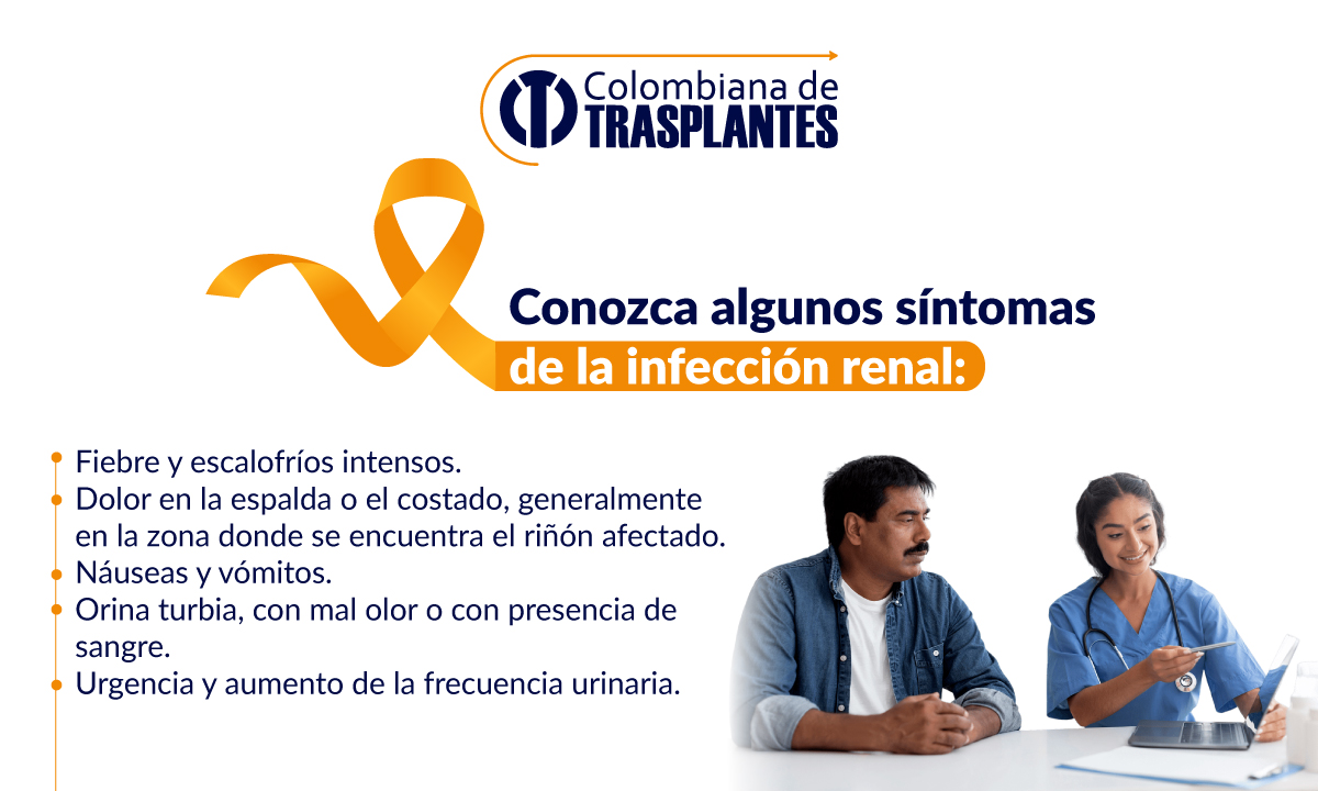 coltrasplantes's tweet photo. A diferencia de otras infecciones del tracto urinario (ITU) como la #cistitis o la uretritis, que permanecen en las partes inferiores del tracto urinario, la pielonefritis es particularmente riesgosa debido a su afectación en los #riñones. Detalles aquí👇
https://t.co/9o0B2kmeFC https://t.co/SmCeggeyhx
