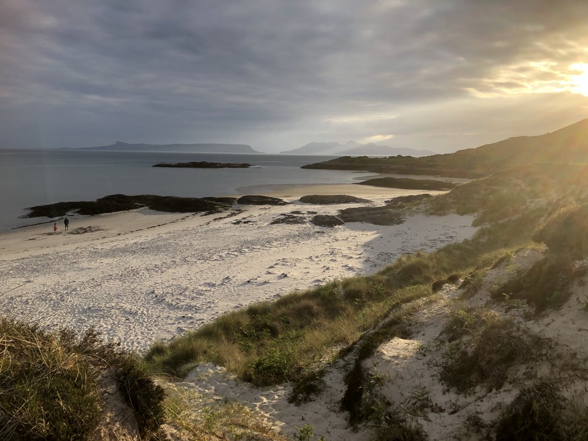 Jeremy Farrar tweet media