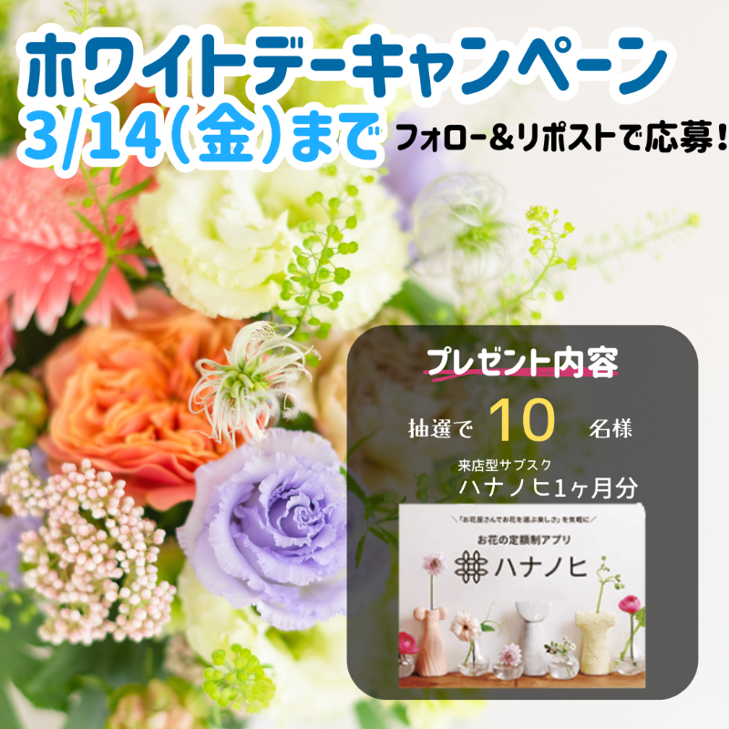 eflora_official's tweet photo. /／
 #ホワイトデー はお花で愛を伝えよう❣
\＼

🍭🌷🍭🌷🍭🌷
#3LOVESTORIES 
フォロー＆リポストキャンペーン
🍭🌷🍭🌷🍭🌷

1⃣ @eflora_official をフォロー✨
2⃣ この投稿をリポスト‼
⏰ 2025/3/14 23:59まで👌

抽選でお花のサブスク「ハナノヒ」1ヶ月分が当たる🎁
#イーフローラ #キャンペーン