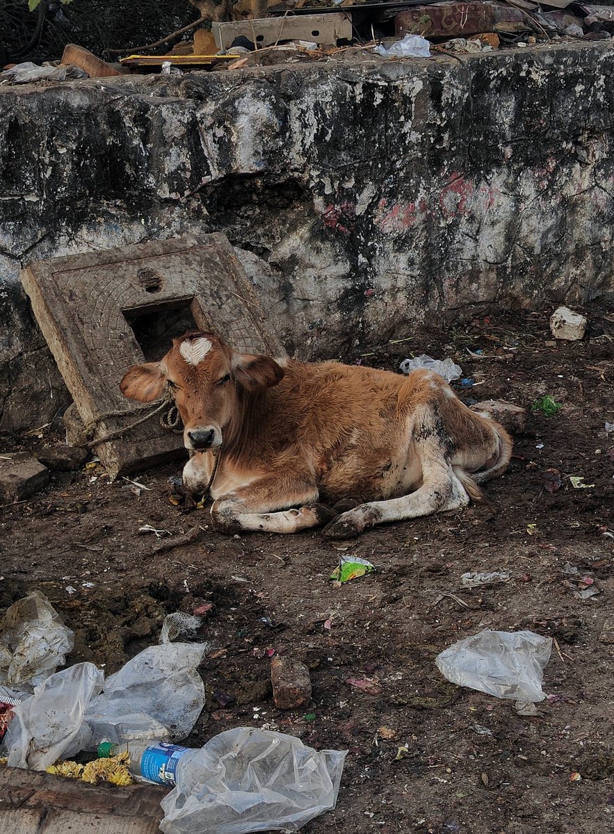 muthu_tara's tweet image. Tekk heart on Valentine&apos;s Day
#love #themapoftinyperfectthings #ValentinesDay #serendipity #taraclicks