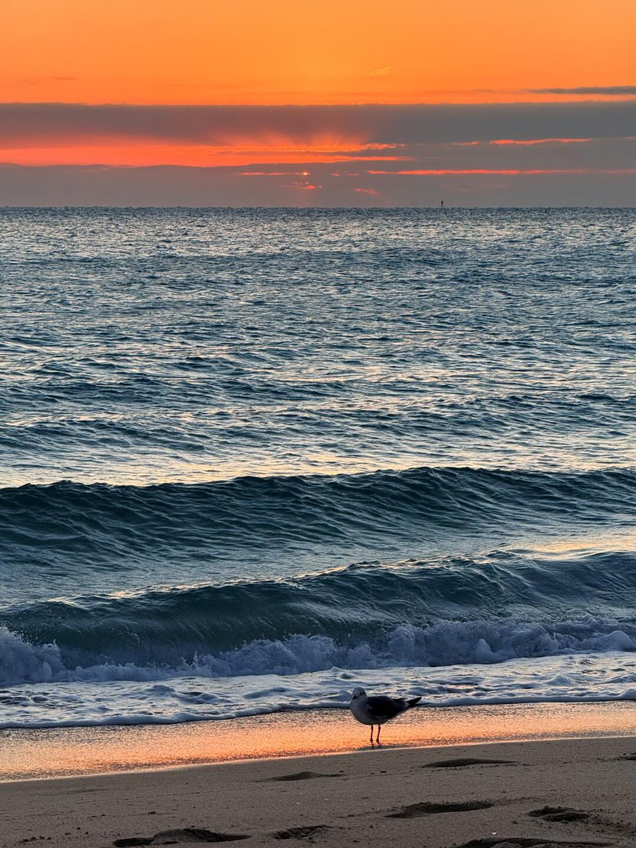 GreenStyfler's tweet photo. The sunrise in Phuket is so beautiful. I haven’t been there for more than a year. This time I must put it on my travel list and relax.#PhuketSunrise
#TravelGoals #RelaxInParadise
#BeachGetaway #SunriseViews
#PhuketTrip #TropicalEscape
#VacationPlans #NatureBeauty
#IslandVibes https://t.co/sxbCgO1cgA