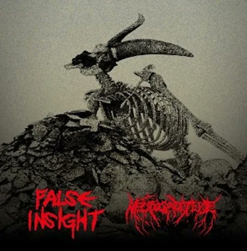 diskunion_dns's tweet photo. 【PUNK/HARDCORE新入荷】
静岡を拠点に活動し、高め合うバンドFALSE INSIGHTとNECROSPECTIVE🔥🔥
2024年末に開催した共同イベント「駿河国暴虐祭」を記念したスプリット音源🙌🌟🌩️🌩️
●#FALSEINSIGHT #NECROSPECTIVE /RESENTMENT
https://t.co/w2xoIDBj8q
#du名古屋PUNK https://t.co/VI0Yk3roHm