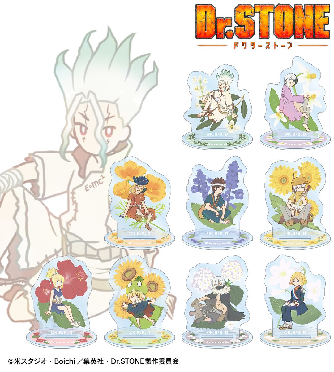 予約開始】TVアニメ「Dr.STONE」より「トレーディング Botania