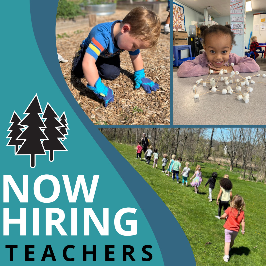 Camp Curiosity & Curiosity Academy tweet media