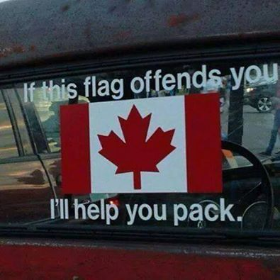 I will even give you a suitcase...