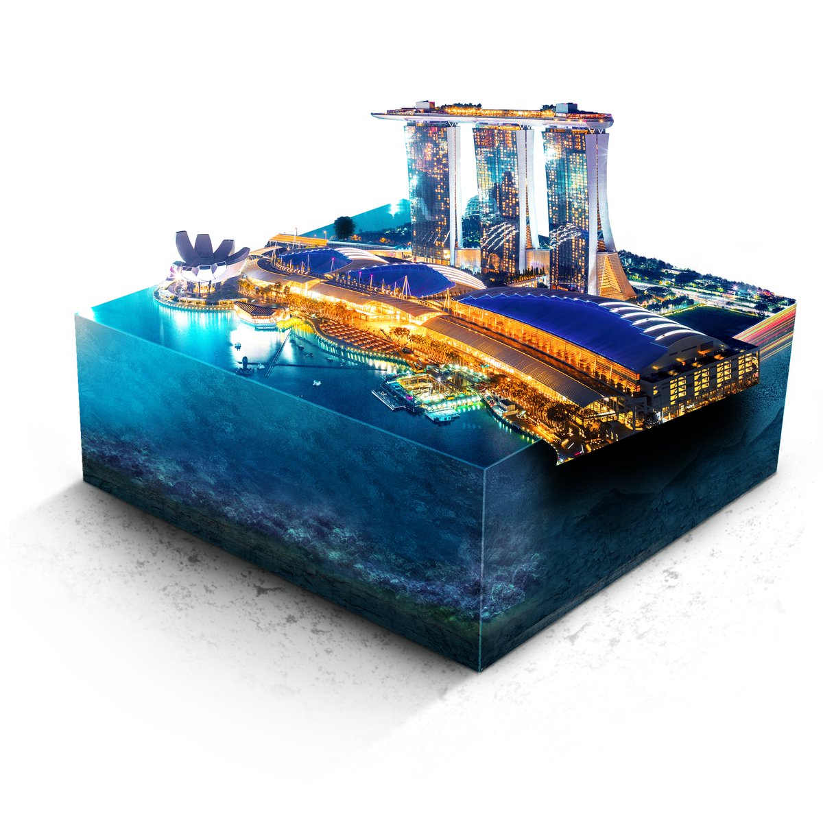 maverick tweet media