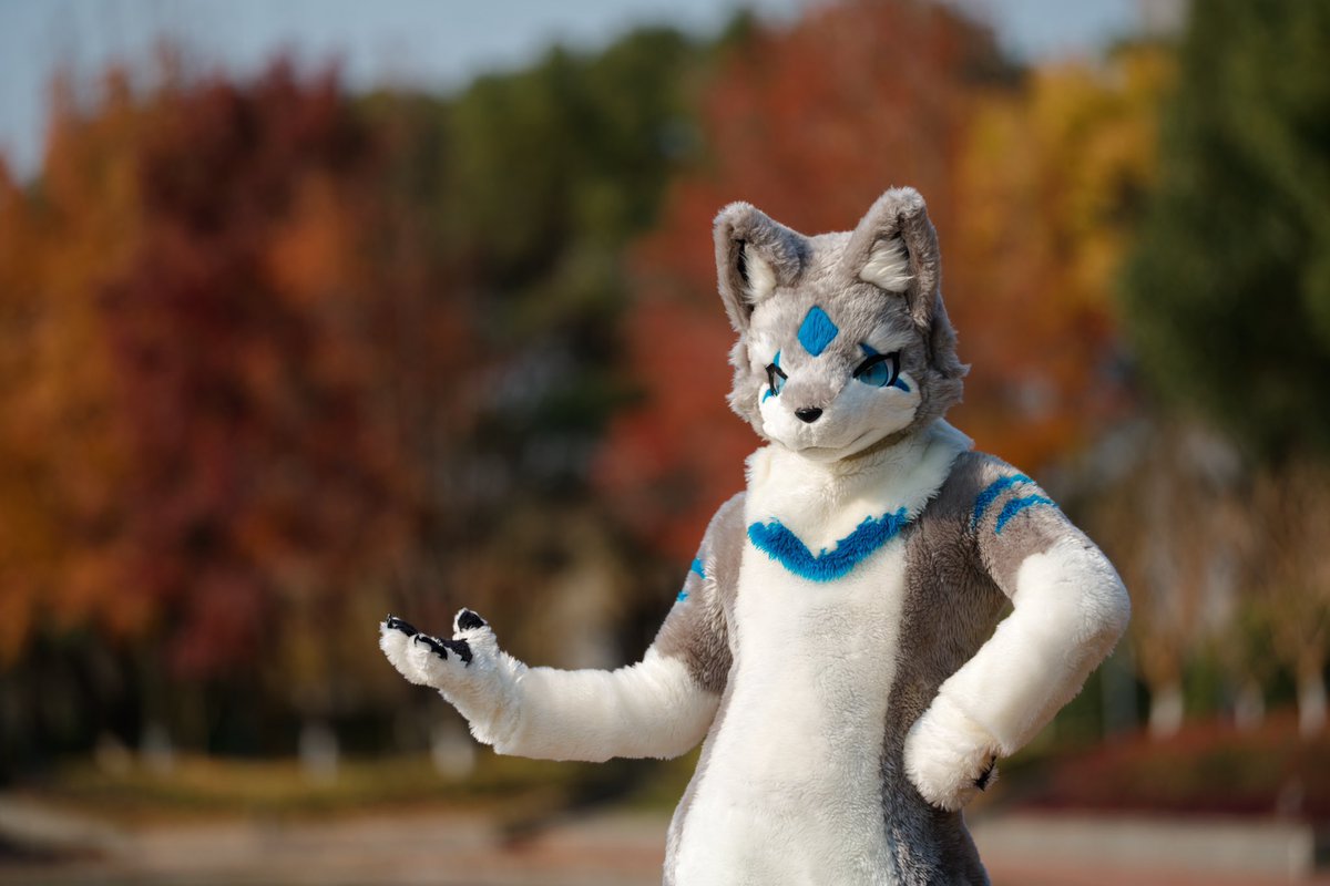 Happy V-Day my dear!
💓💓💓
📷<a href="/tannfoto/">塔恩tann</a>
#FursuitFriday