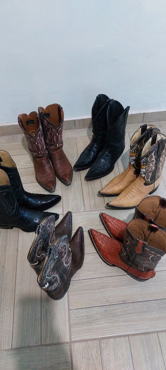 El paraíso de todo cerdito lamebotas ! #findom #cashmaster #paypig #maledom