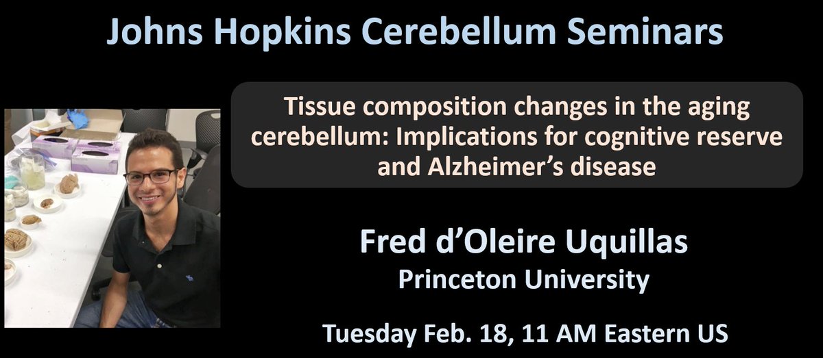 Rather than passively aging, a greater cerebellar volume mitigates age-related cognitive decline. The cerebellum appears to act as a source of cognitive reserve in Alzheimer’s patients.
Fred d'Oleire Uquillas will present.