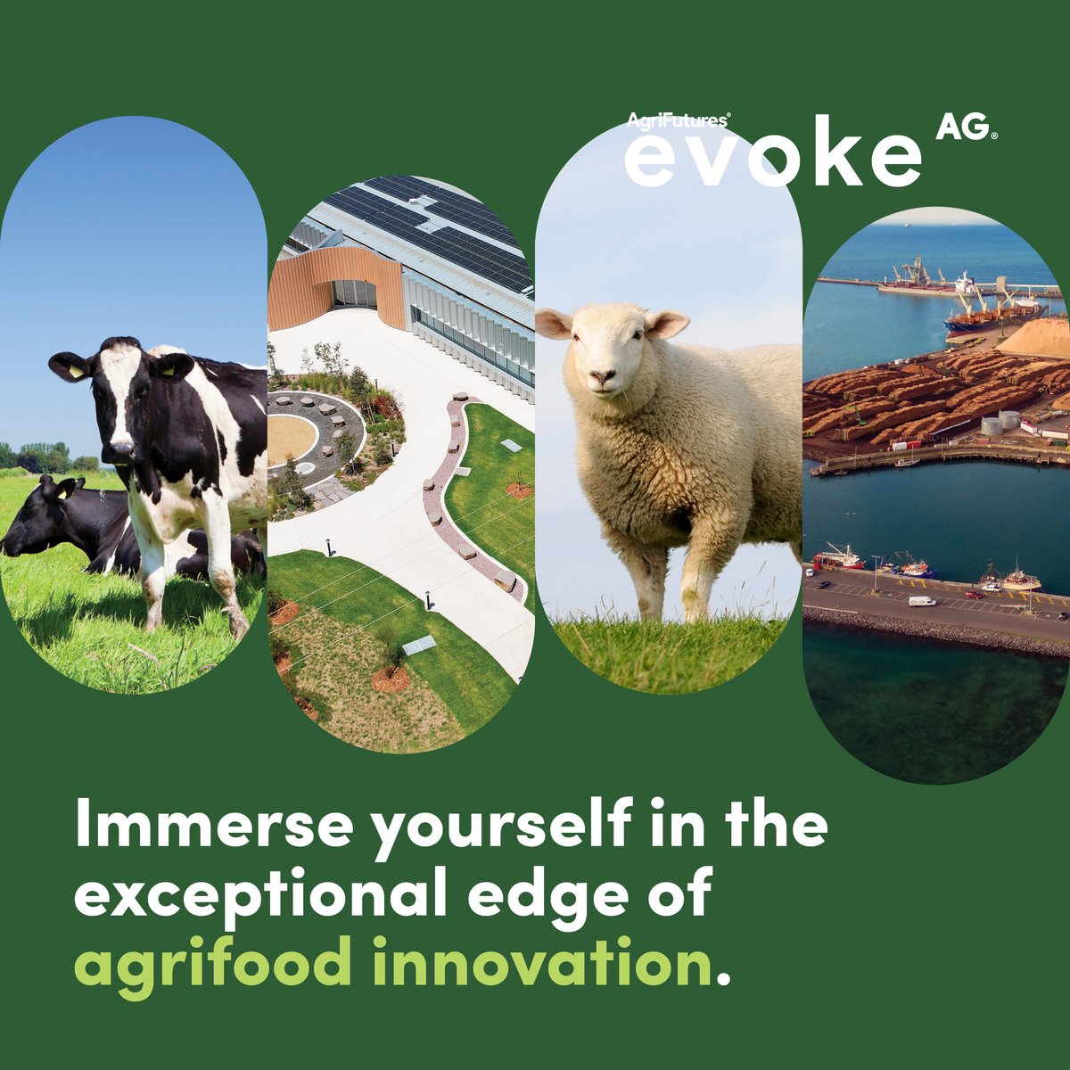 Dive into the future of agrifood innovation! Join us at the Food and Fibre Great South Coast stand at evokeAg in Brisbane on Feb 18-19. Discover groundbreaking solutions, connect with industry leaders, and fuel your passion for sustainable practices.