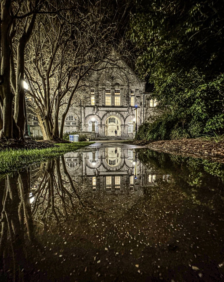 Rain puddle reflection, Tulane University, New Orleans
