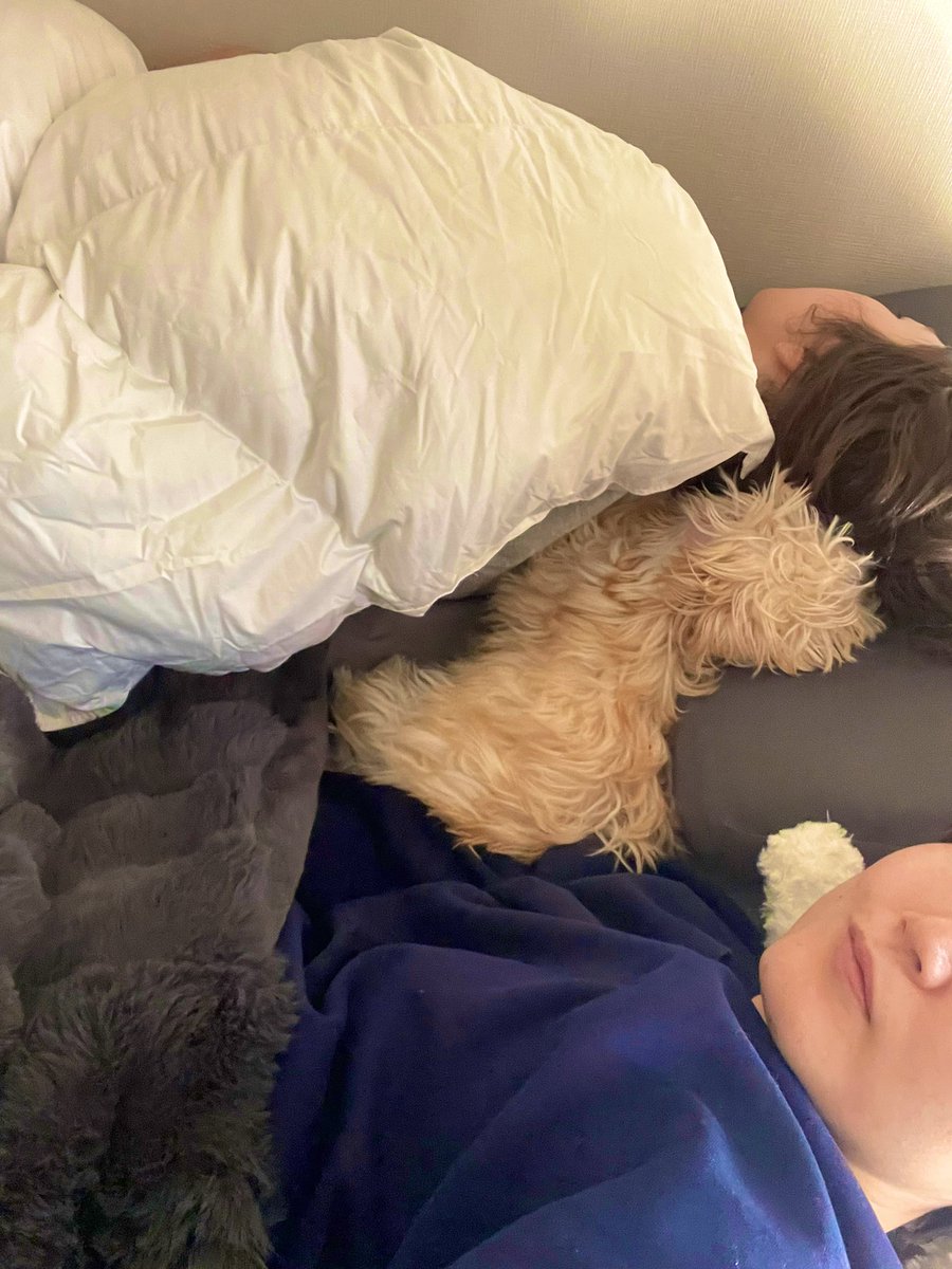 ばれーんたいん💞
食後に目をつむっててと言われ、いいよ！って言われたら目の前にケーキが🥰😍
手作り嬉しい🥰❤️‍🔥ありがとう🫰
コーヒーとマッチする☕︎

朝方くるくる布団を巻き取っていく妻が愛らしい☺️ぐーたんも枕使ってんの可愛い💕

2人が居てくれてしあわせだな〜🕊️
来週にははもう1匹🤭ｸﾌﾌ