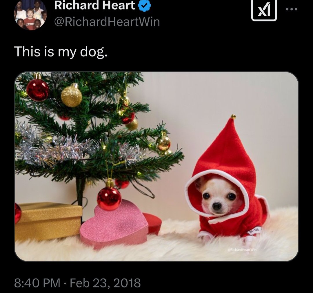 Long live $michi dexscreener.com/pulsechain/0xf…