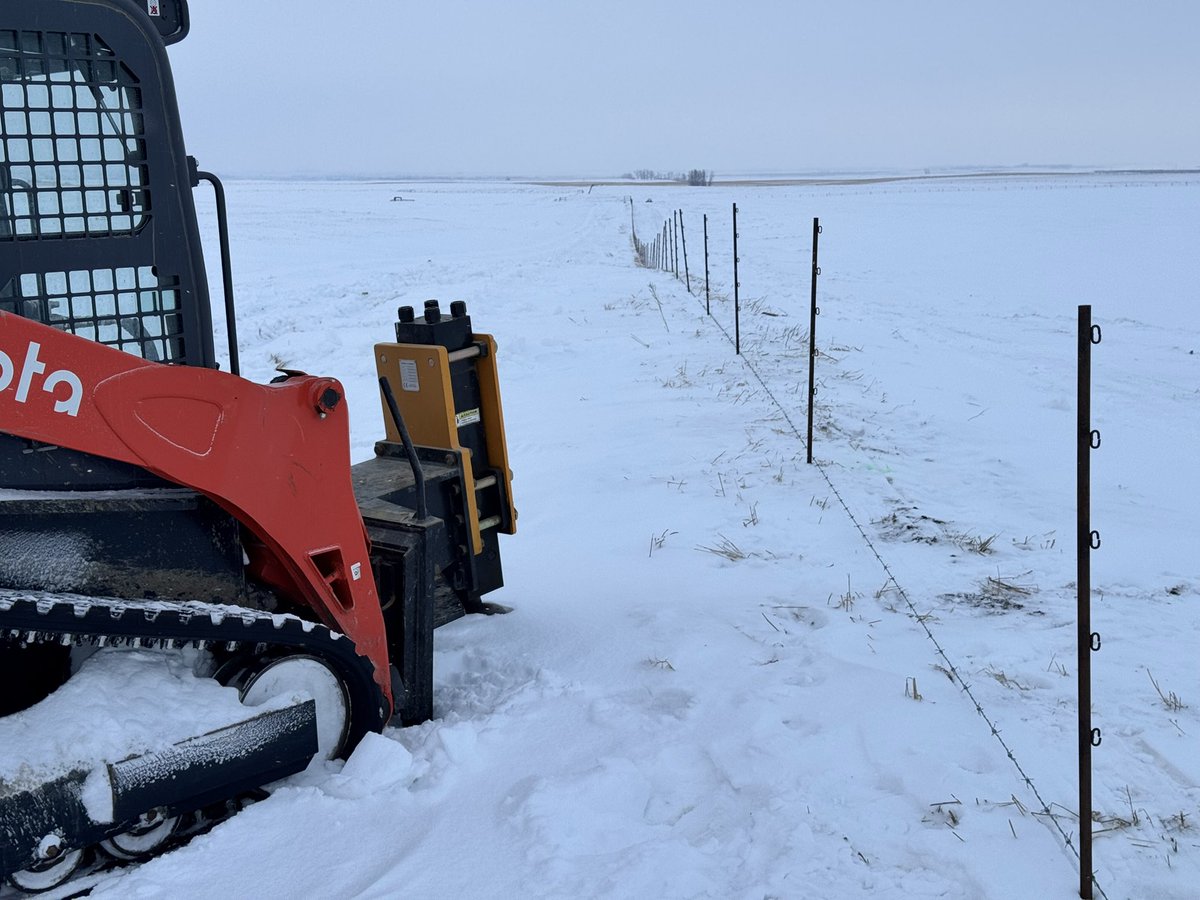 Patrick Kunz tweet media