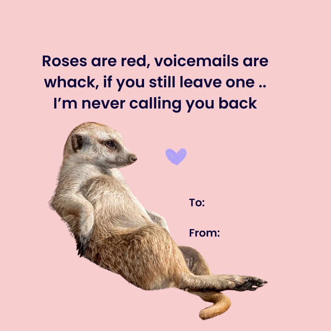 CuriousThingAI tweet media